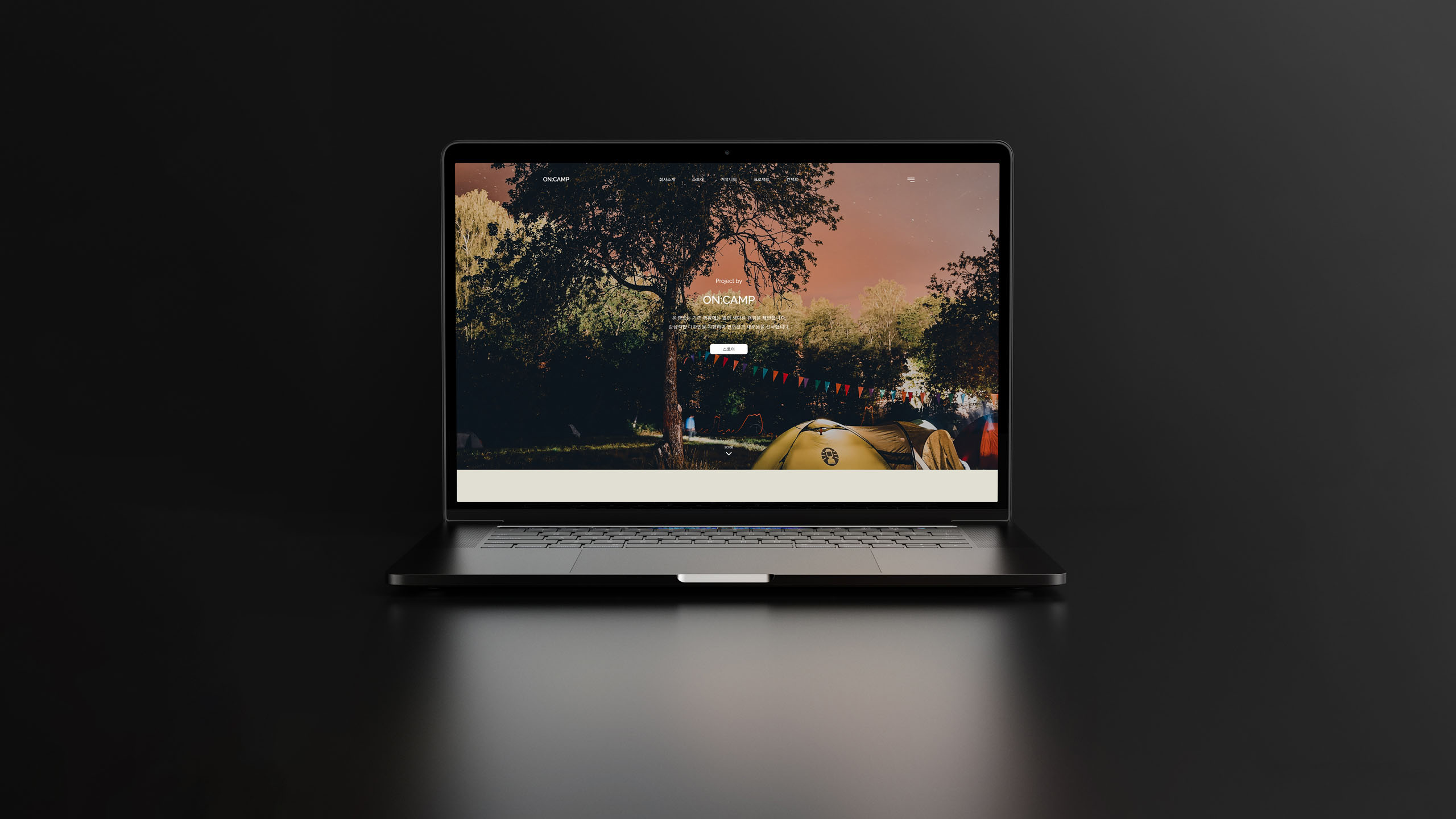 portfolio-laptop